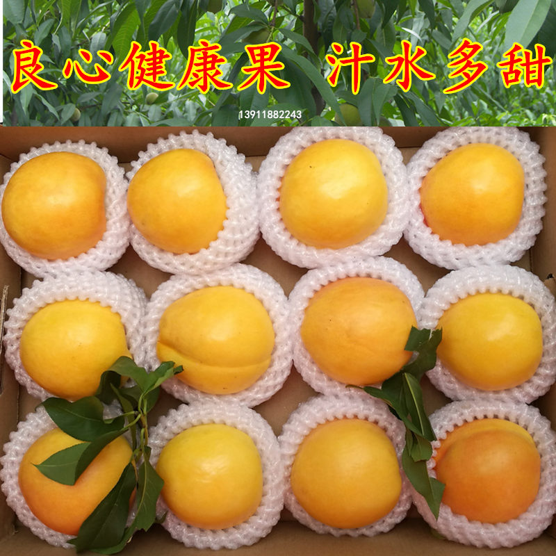 北京现摘澳油奶油桃新鲜