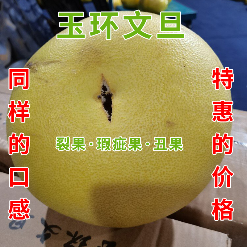表皮瑕疵正宗玉环文旦柚新鲜水果裂果丑果花皮果柚子应季当季