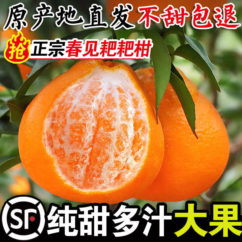 四川春见耙耙柑特级粑粑柑5斤现摘甜橘子新鲜水果丑柑桔当季整箱