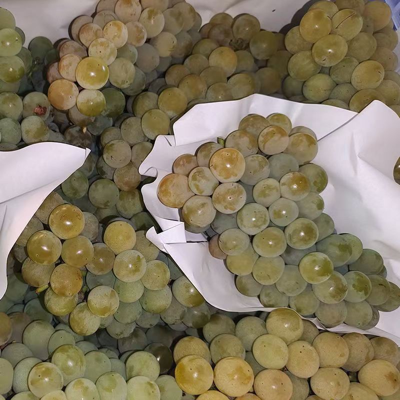 湖南水晶葡萄新鲜当季水