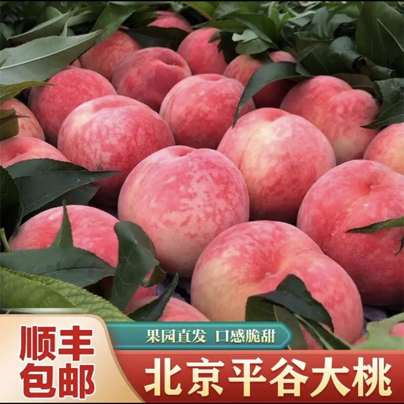 北京平谷大桃新鲜桃子现