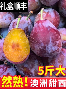 新鲜西梅5斤智利进口鲜果