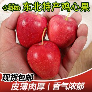 东北鸡心果包邮樱桃小苹果香槟锦绣香妃海棠果塞外红沙果特产水果
