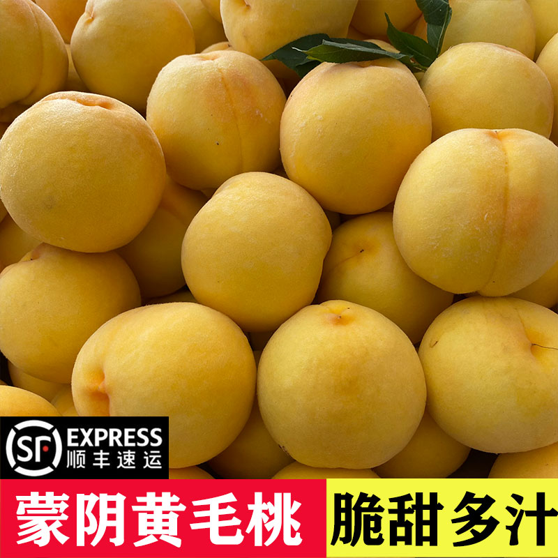 蒙阴黄桃黄金蜜桃当季新