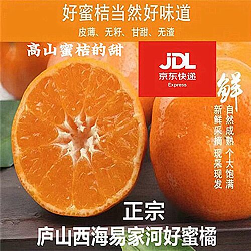 正宗易家河桔子江西庐山西海无籽蜜橘新鲜应季水果园非涌泉沙塘桔