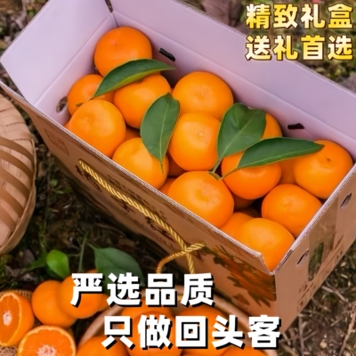 浙江临海正宗涌泉蜜桔新鲜无籽橘子黄岩蜜橘薄皮当季整箱水果桔子