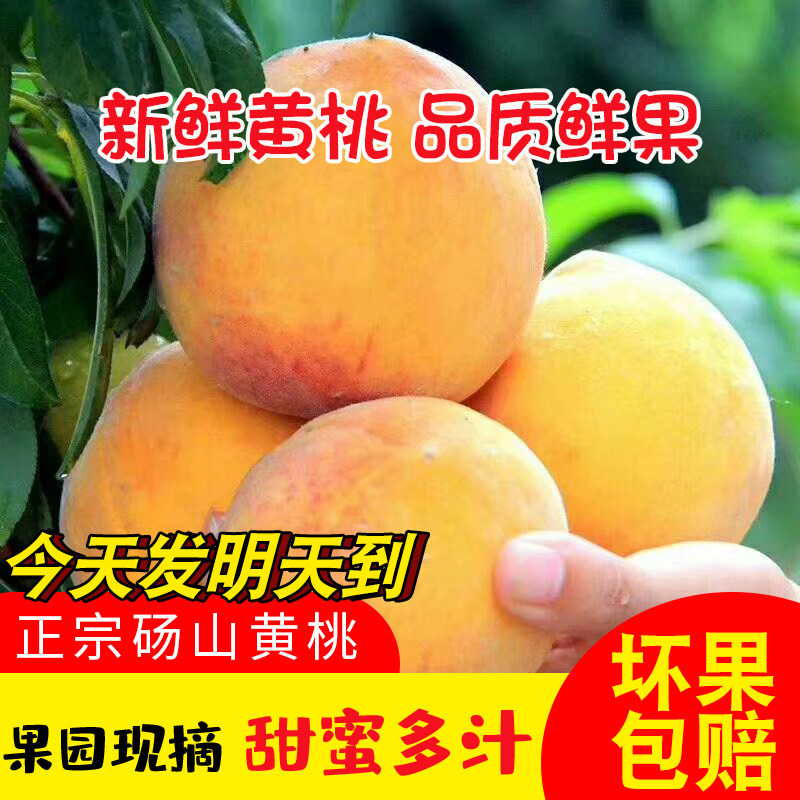 桃子现摘现发新鲜水果酸