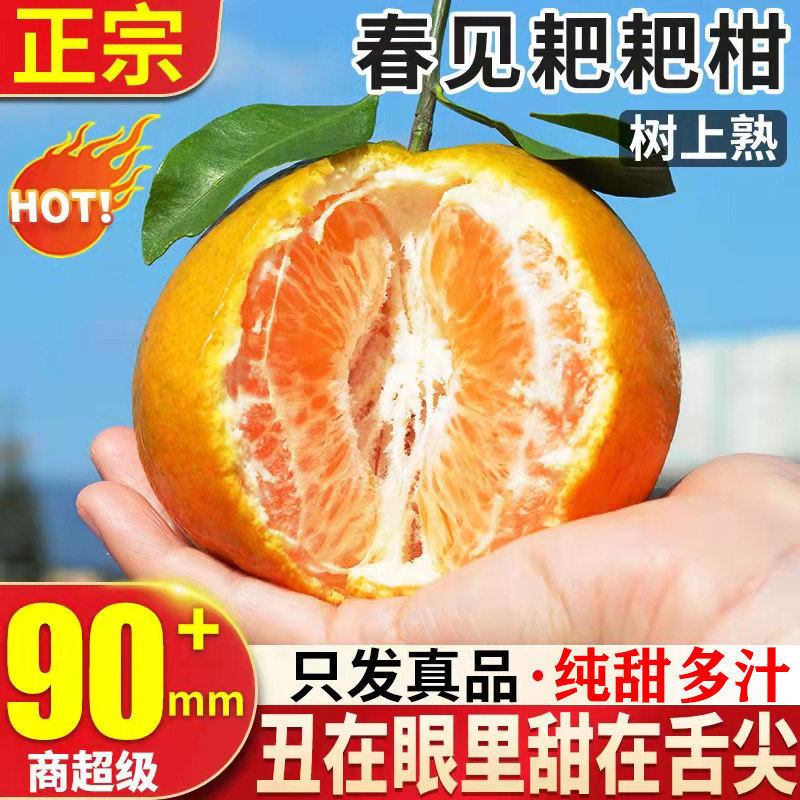 四川春见耙耙柑橘子5/8斤大果新鲜水果丑八怪粑粑甜桔子孕妇整箱