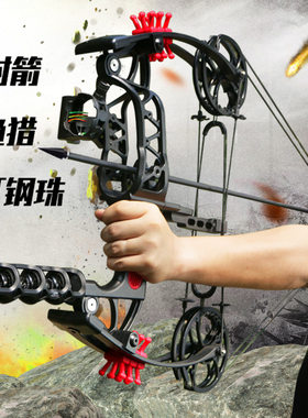 夜鹰短款复合弓146151