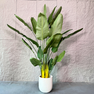 仿真绿植天堂鸟高端轻奢假植物旅人蕉盆栽室内客厅沙发旁装饰摆件