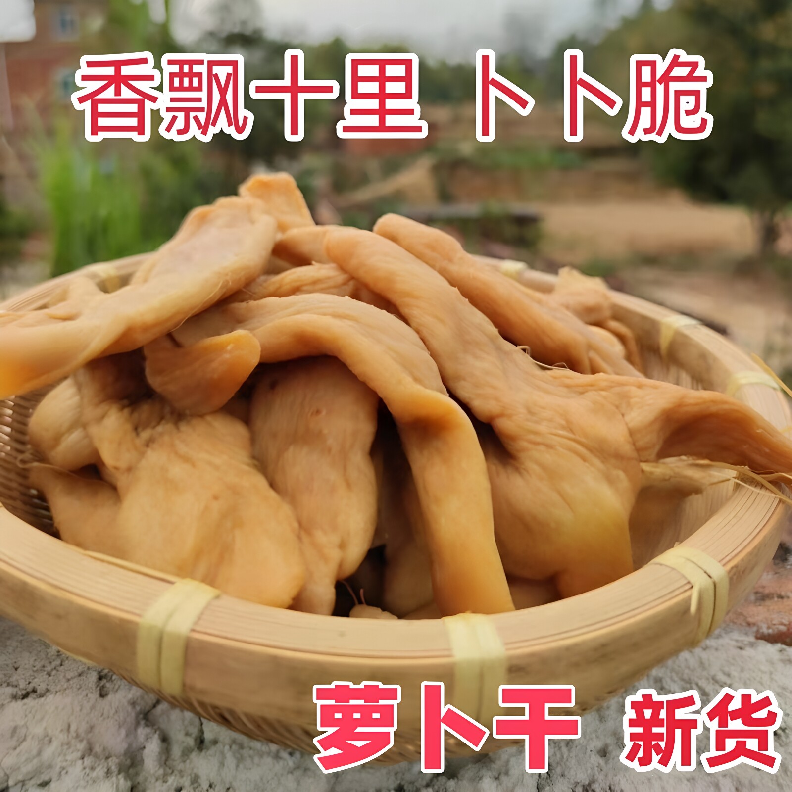 广东茂名特产农家咸萝卜干菜脯脆爽口手工腌制咸卜条潮汕下饭菜头