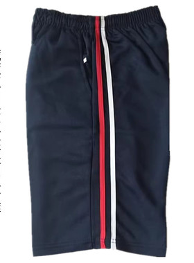 夏季校服裤子一条杠藏蓝色五分裤白边男女中小学生短裤双杠运动裤