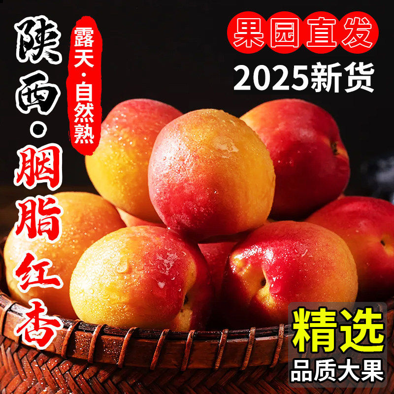 陕西胭脂红杏4斤杏子贵妃红杏大果当季新鲜水果酸甜脆黄杏蜜杏整