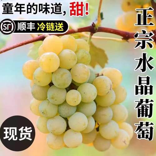 顺丰云南水晶葡萄旗舰店