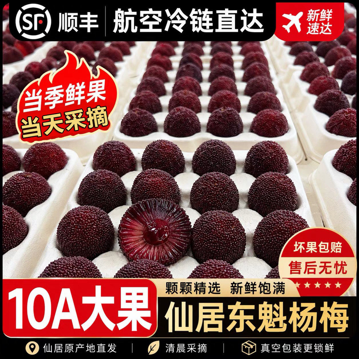 乒乓特大正宗仙居杨梅新鲜浙江东魁大杨梅鲜果孕妇水果时令礼盒装