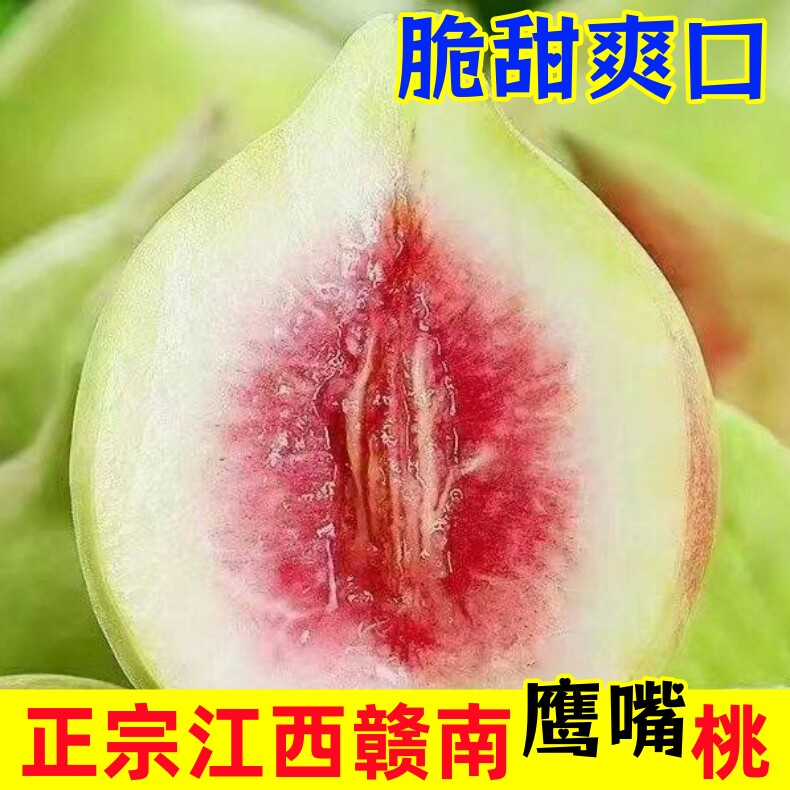 正宗鹰嘴桃现摘现发精选
