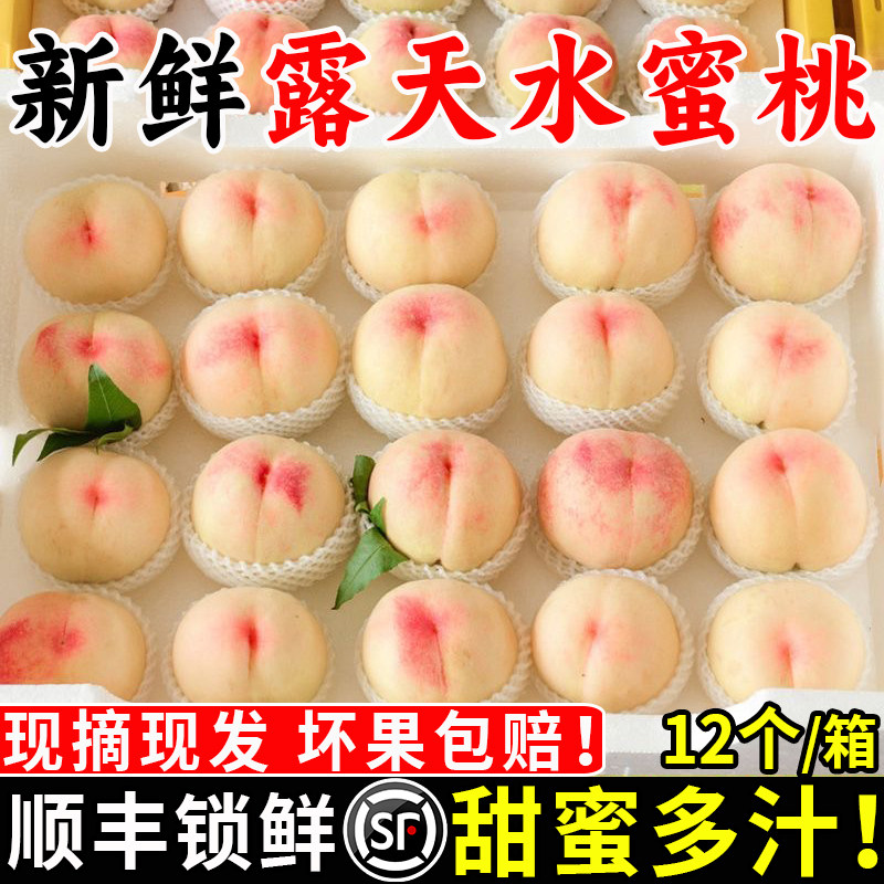 正宗水蜜桃子水果新鲜当
