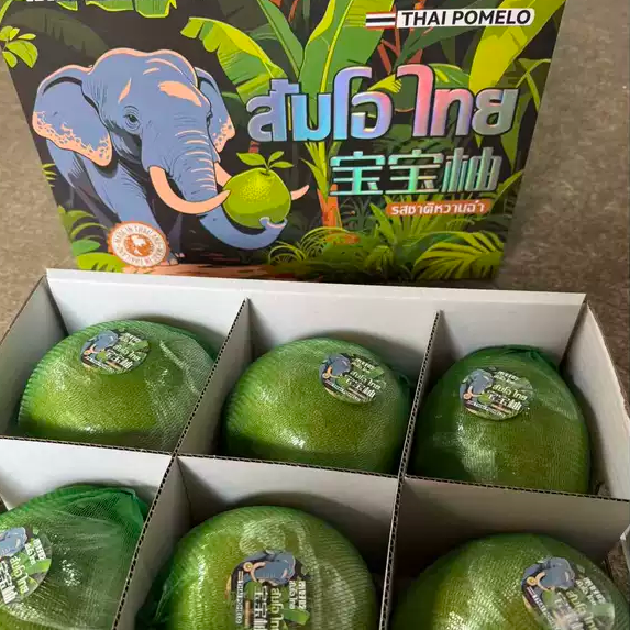 正宗泰国进口翡翠柚子老