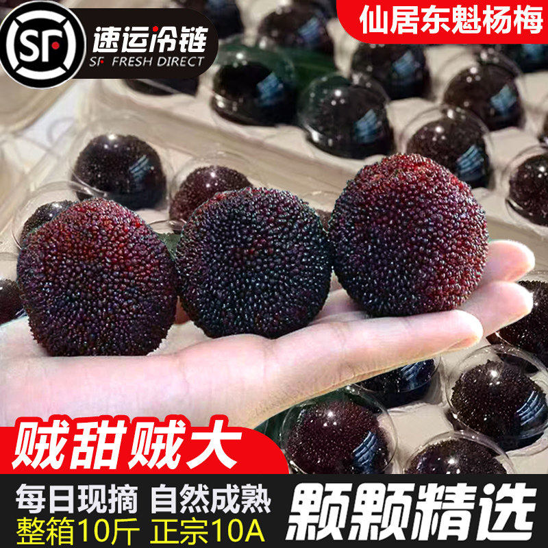 乒乓特大正宗仙居杨梅新鲜浙江东魁大杨梅鲜果孕妇水果时令礼盒装