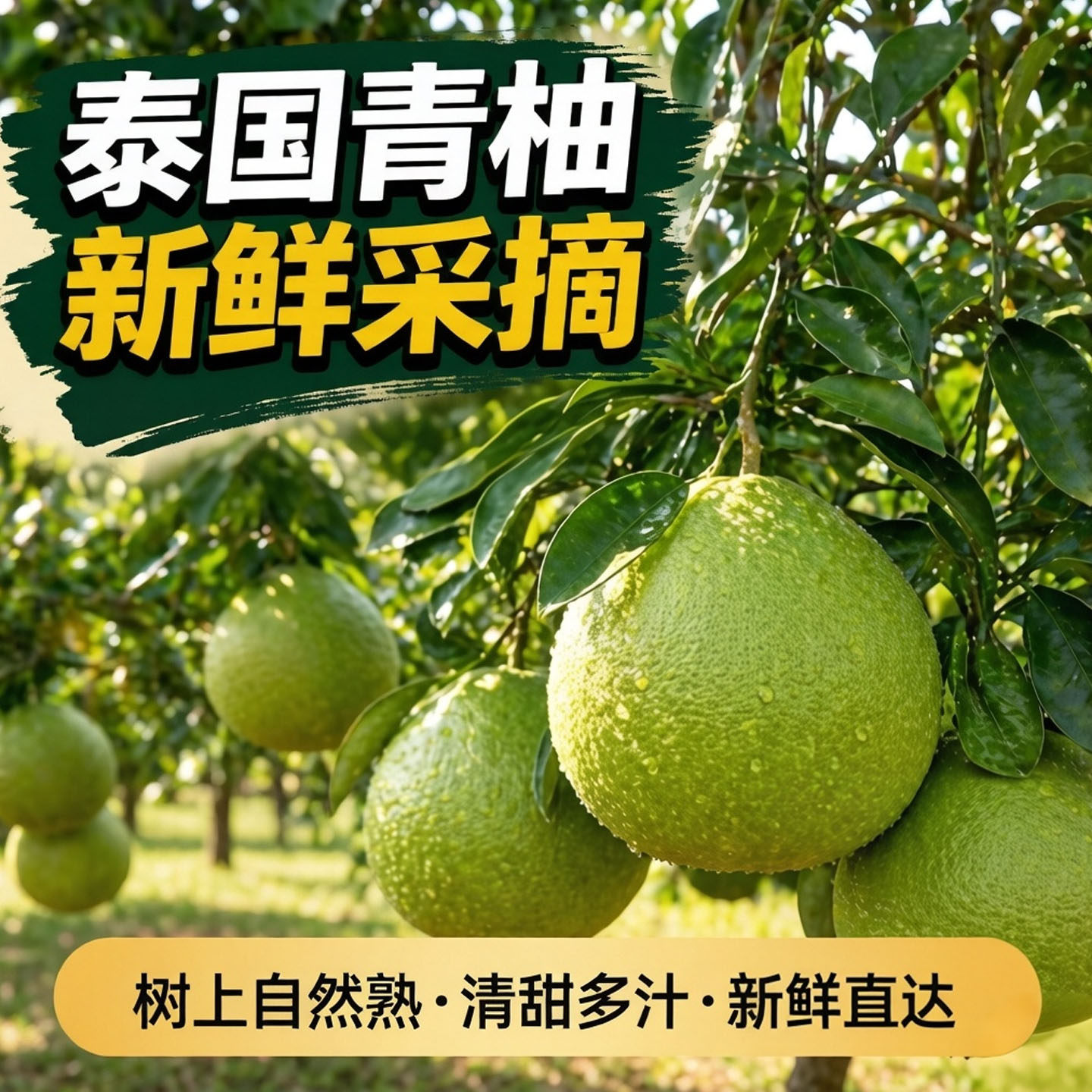 泰国进口青柚新鲜水果当