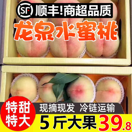 正宗四川龙泉水蜜桃新鲜水果5斤当季龙泉大白凤水蜜桃整箱顺丰包