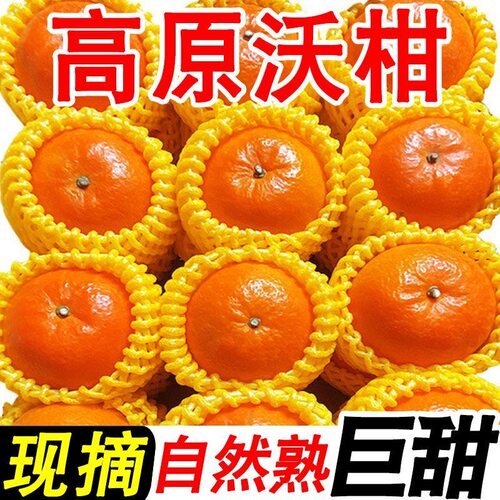 广西武鸣沃柑5斤当季新鲜大果