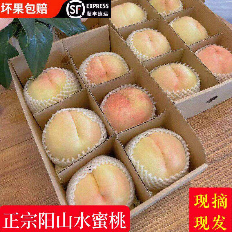 正宗无锡阳山水蜜桃当季