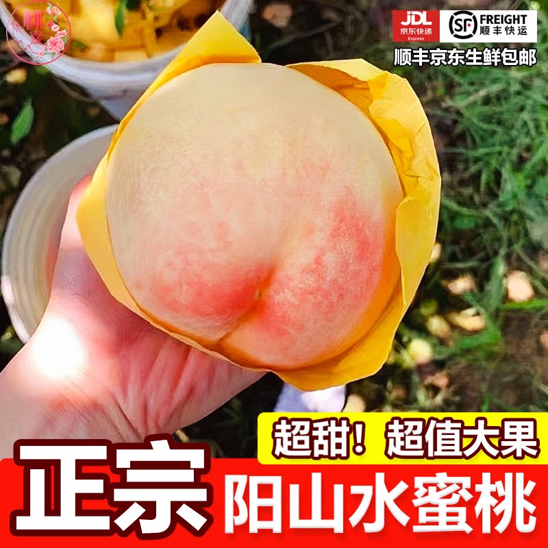 正宗无锡阳山水蜜桃孕妇