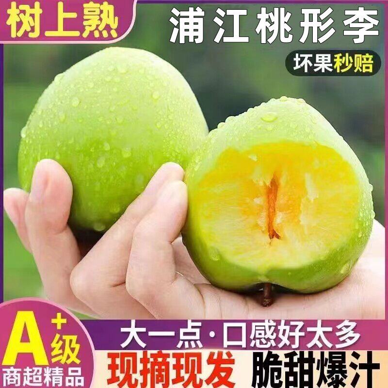 浦江桃形李现摘新鲜水果