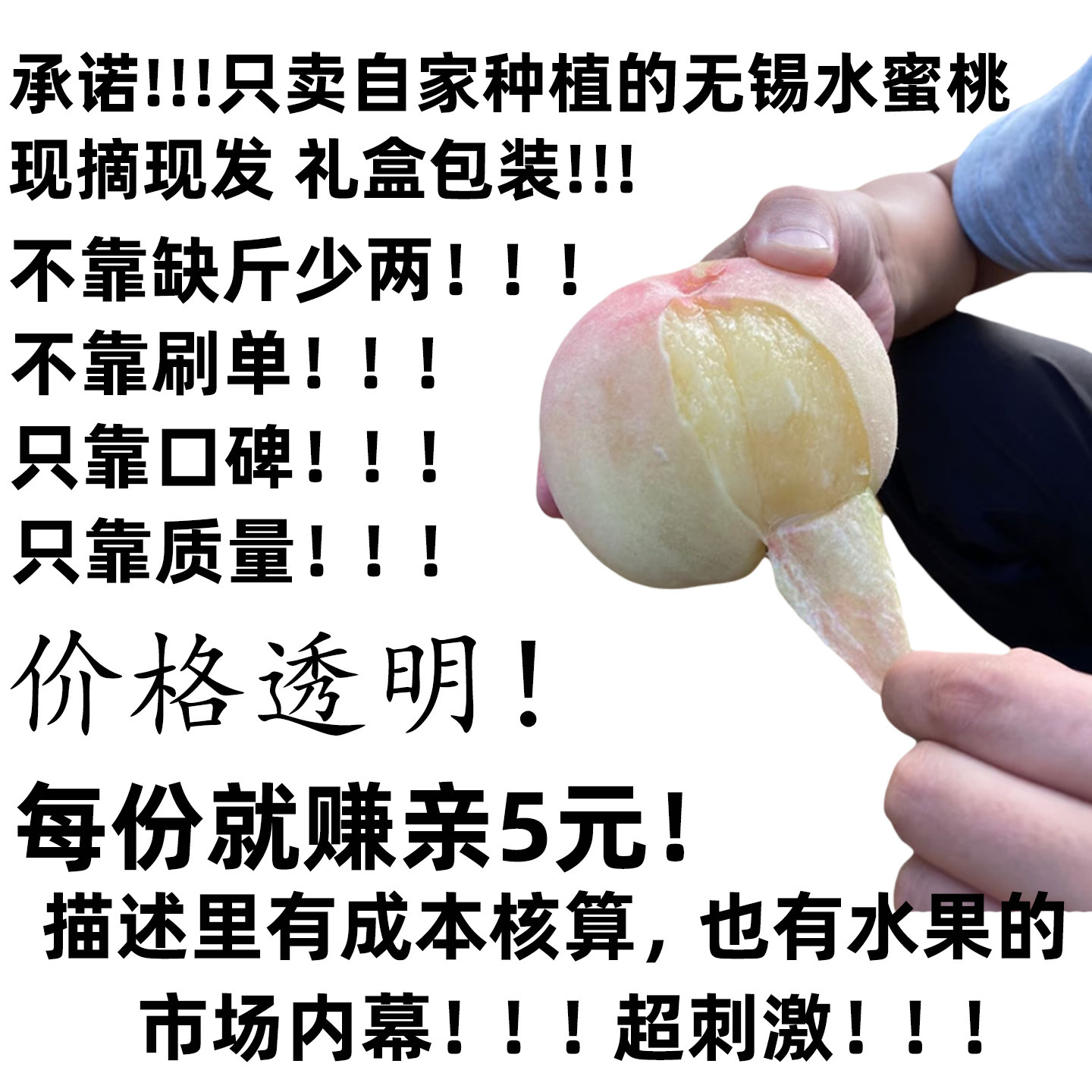 正宗无锡白凤水蜜桃当季