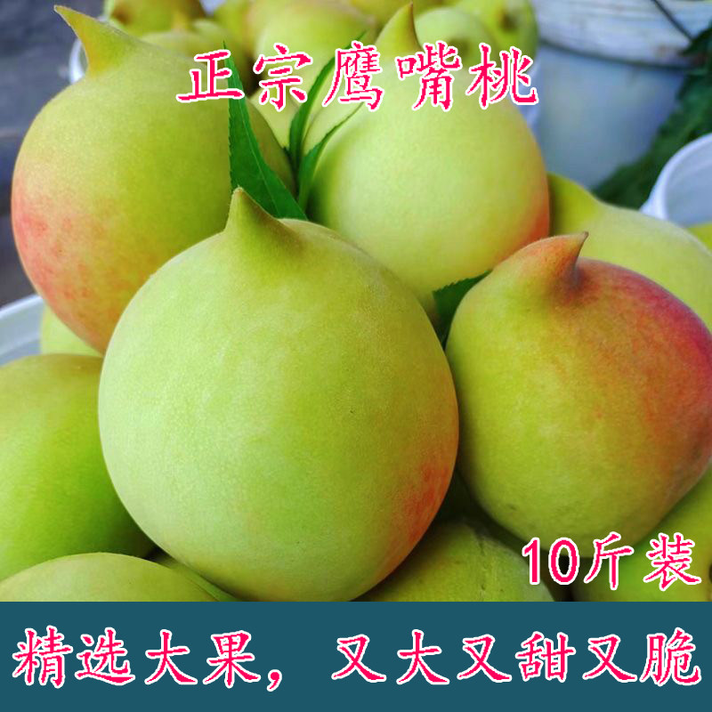 鹰嘴桃脆甜桃子非广东连