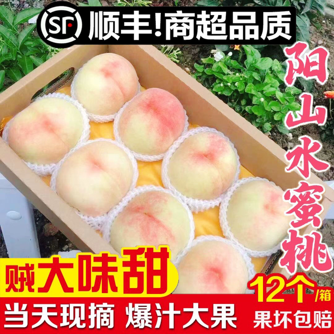 正宗无锡阳山水蜜桃现摘