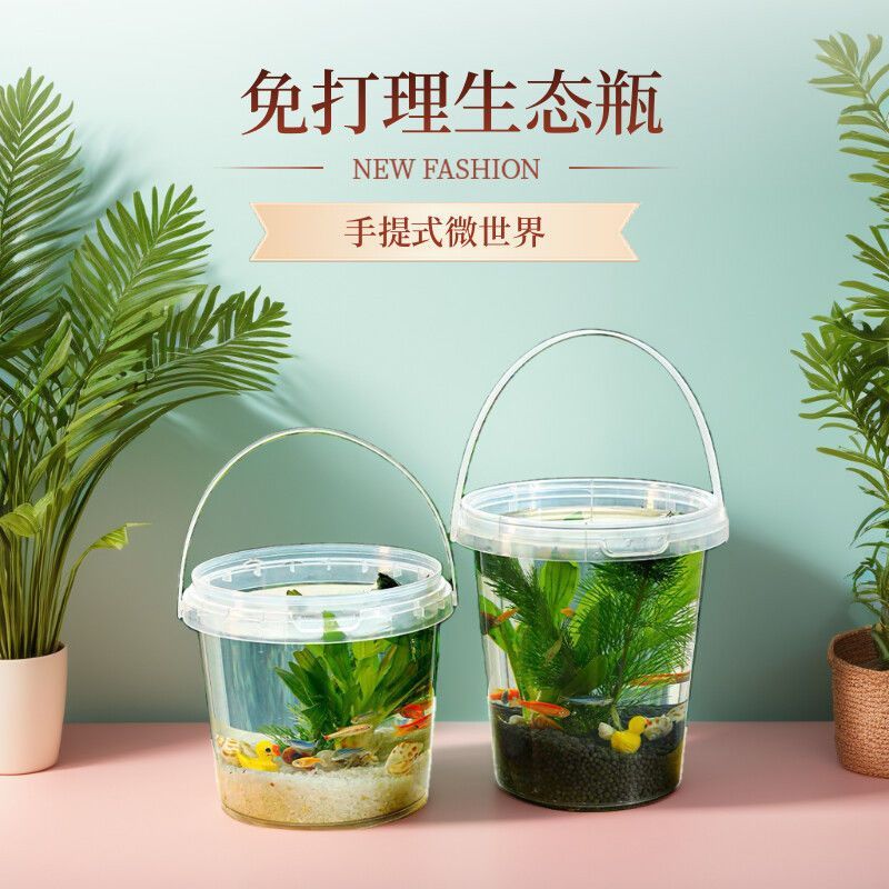 初中生物生态瓶手提生态瓶微景观鱼缸造景五年级下册科学生态瓶生
