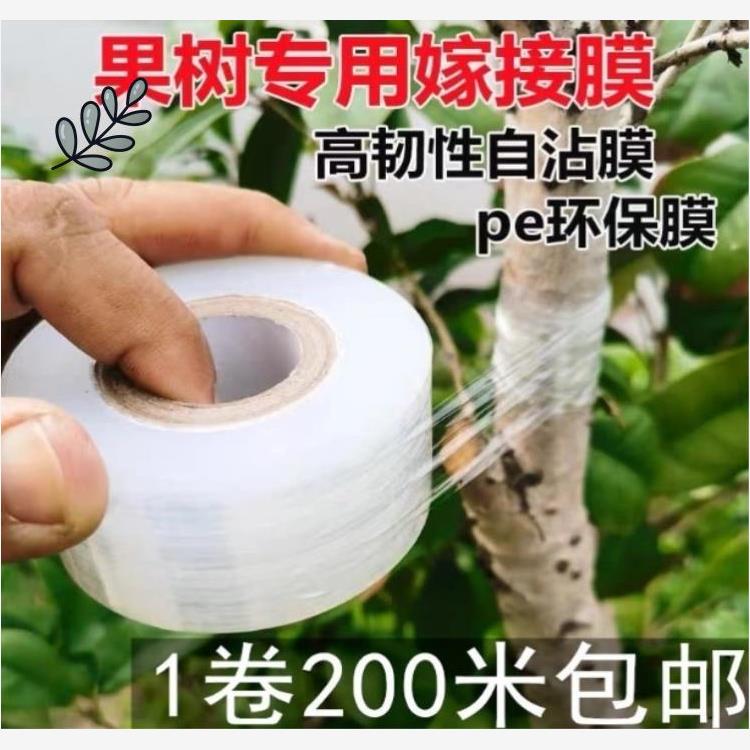 糯米纸嫁接膜树苗果树架接膜专用加厚自粘式塑料月季接树膜包扎带