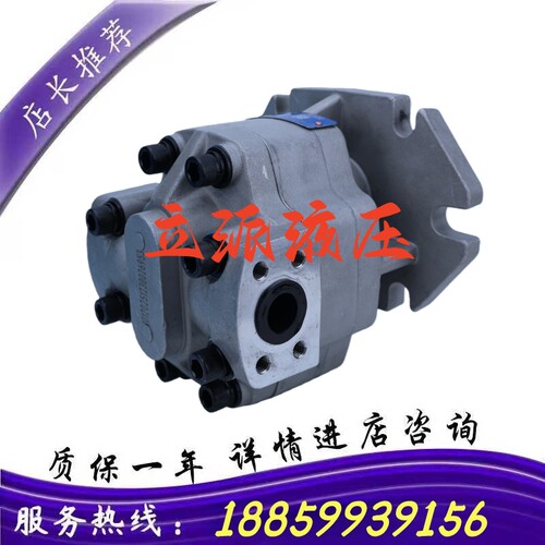 HCHC合肥长源齿轮泵CBQ-F520/F525/F532/F540/F550/F563-AFPL-CFH