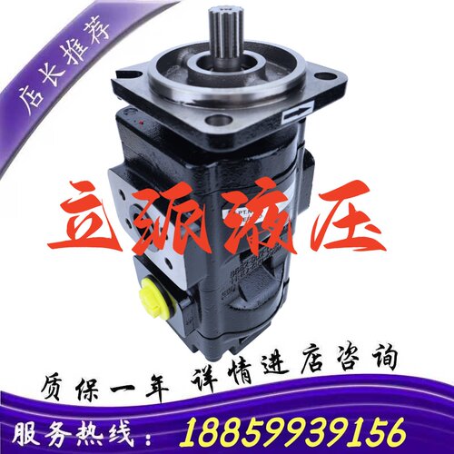 PGP设LAQ620B0410AD齿轮泵 用 于工业质备 机械设备 量有保障厂家