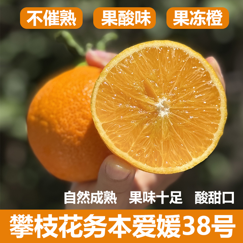 四川攀枝花爱媛38号果冻橙