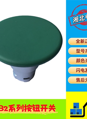 XB2系列按钮开关 XB2-BR31C 单头部 ZB2-BR3C 绿色复位大按钮开关