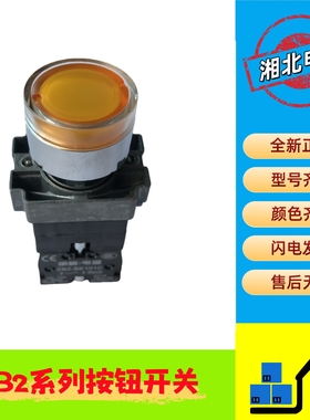 XB2带灯按钮 XB2-BW35B1C 黄色带灯复位按钮 DC24V XB2-BW35B5C