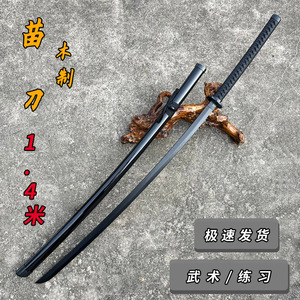 居合道中华武术塑胶练习加厚