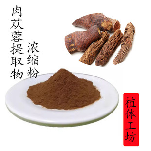 肉苁蓉提取物 10:1 松果菊苷水溶性浓缩比例提取物  100g袋装新货