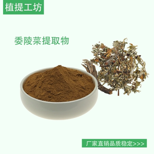 委陵菜提取物 莓叶委陵菜浓缩粉 另售黄柏马齿苋大蓟  满79包邮