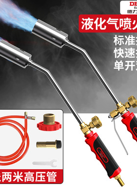 德力西电气喷火枪家用烧猪毛烧肉喷枪不锈钢液化气做防水喷火器
