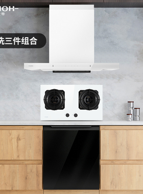 富士帝进口大风压挥手油烟机FD20洗碗机三件套家用官方店