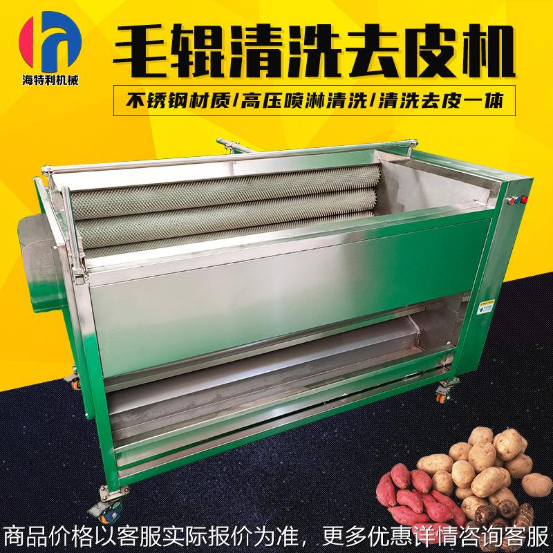 红薯土豆去皮清洗机全自动毛刷洗姜机多功能根茎类药材毛辊清洗机