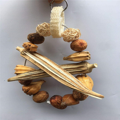 植物果子啃咬玩具鹦鹉天然植物