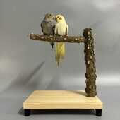 鸟笼多功能T形站杆野生花椒木树枝站杆站棒磨爪棒杆鸟笼顶站杆