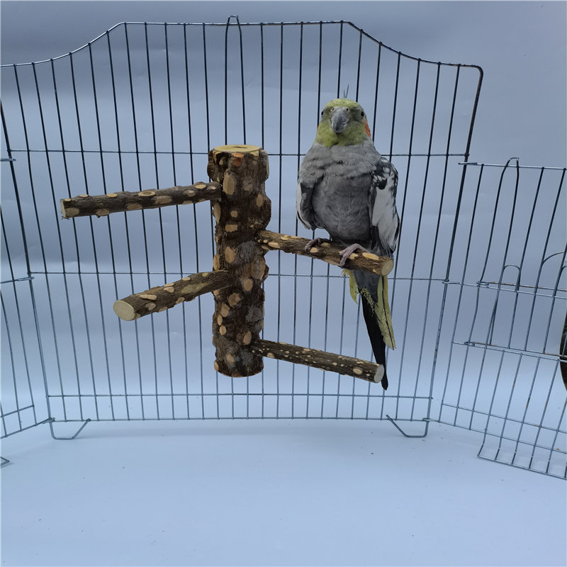 鹦鹉鸟树枝站杆磨脚杆花椒木站杆分杈站杆站棒虎皮玄凤牡丹玄凤