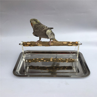 亚克力鹦鹉桌面站架 鹦鹉展示架子训练架子花椒木站棍站杠