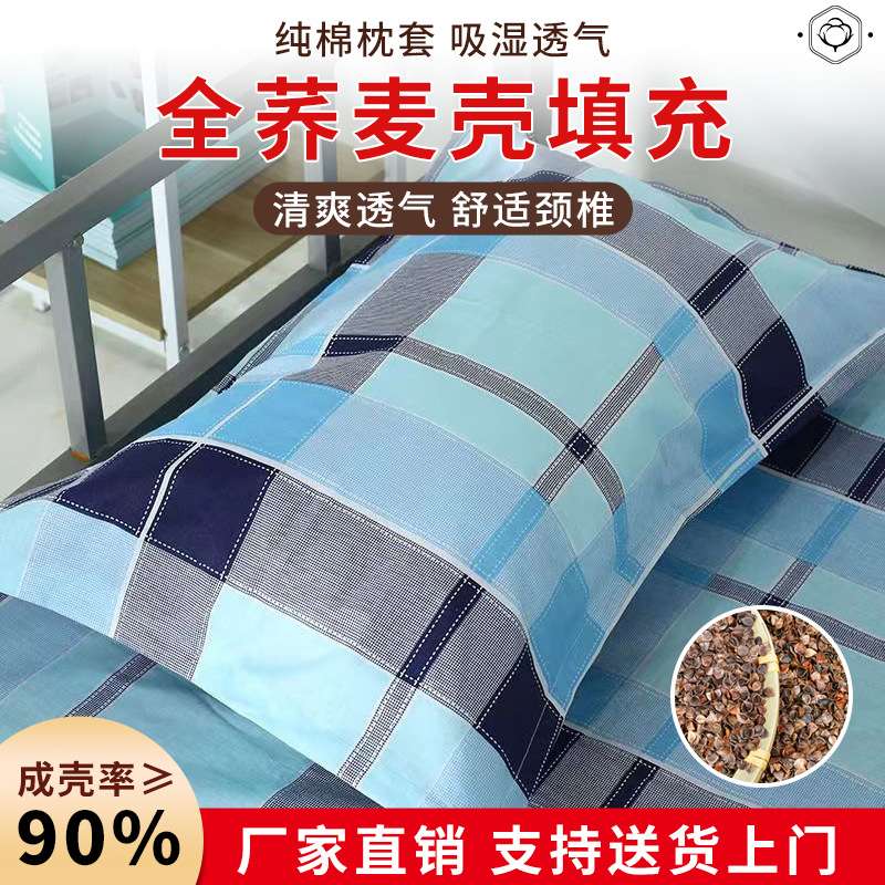 厂家 纯荞麦枕头新款护颈枕夏季学生宿舍四季通用枕芯枕套家用